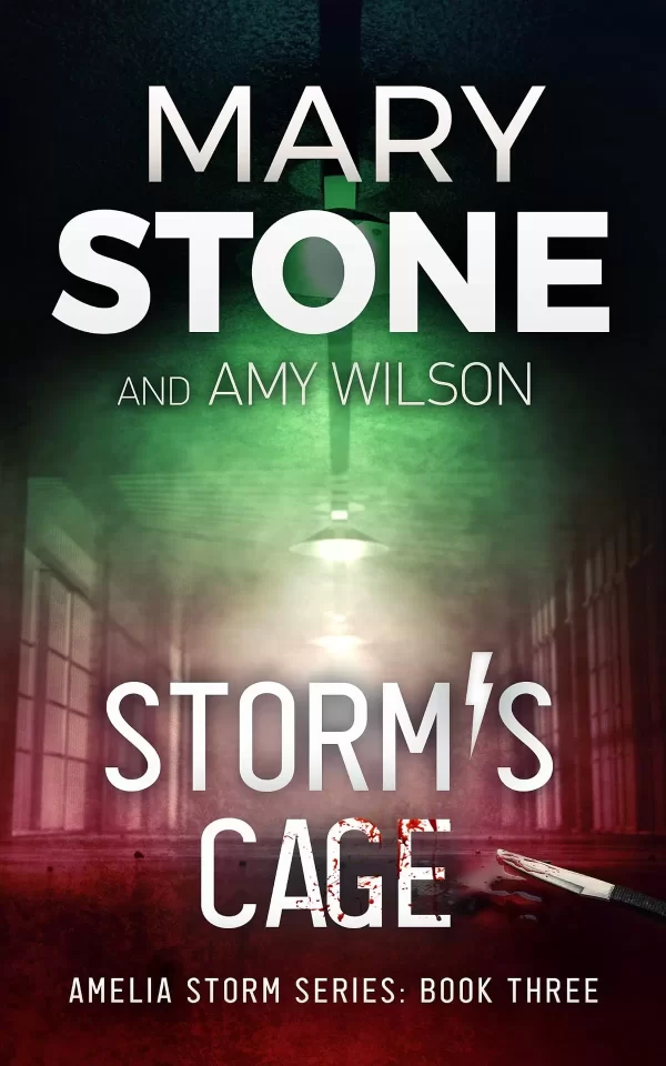 Storm's Cage (Amelia Storm FBI Mystery Series #3) by Mary Stone, Amy Wilson