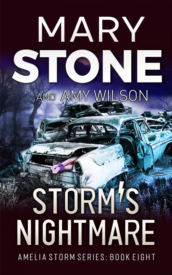 Storm's Nightmare (Amelia Storm FBI Mystery Series #8) by Mary Stone, Amy Wilson
