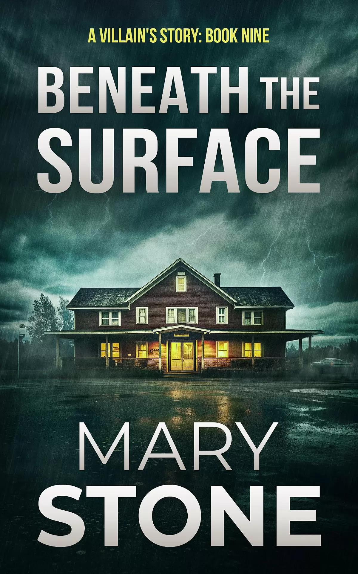 Beneath the Surface (A Villain’s Story FBI Mystery Series #9) by Mary Stone