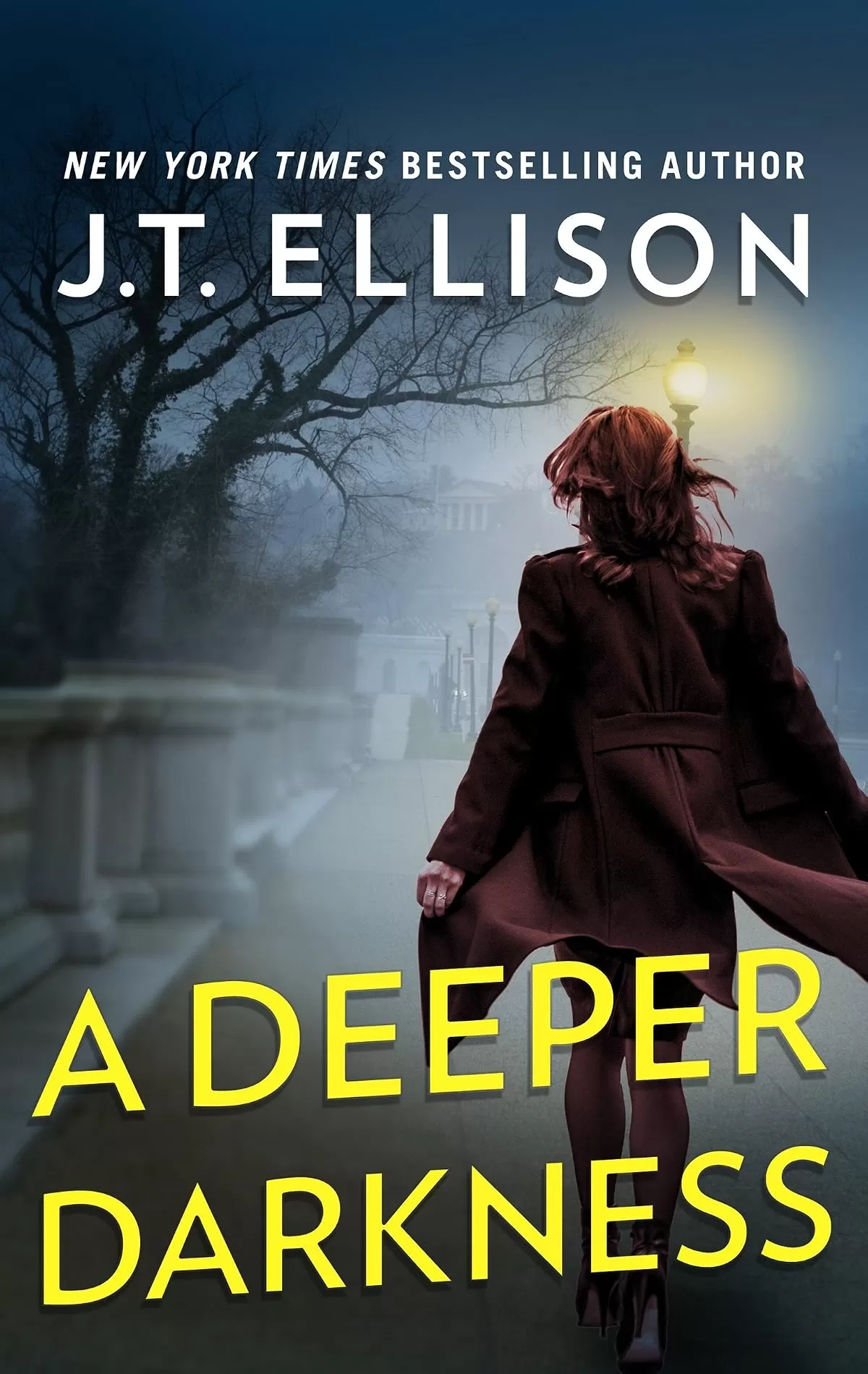 A Deeper Darkness (Samantha Owens #1) by J.T. Ellison