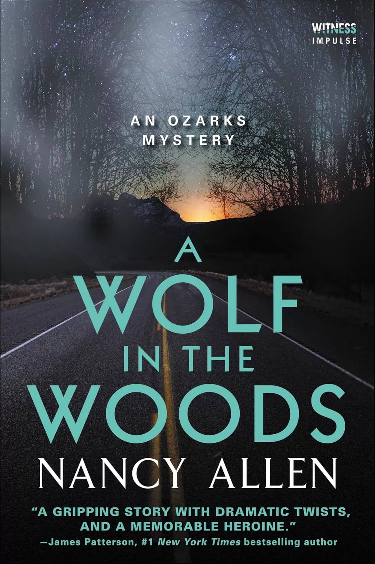 A Wolf in the Woods (Ozarks Mysteries #4) by Nancy Allen