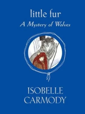 Mystery of Wolves (Little Fur #3) by Isobelle Carmody