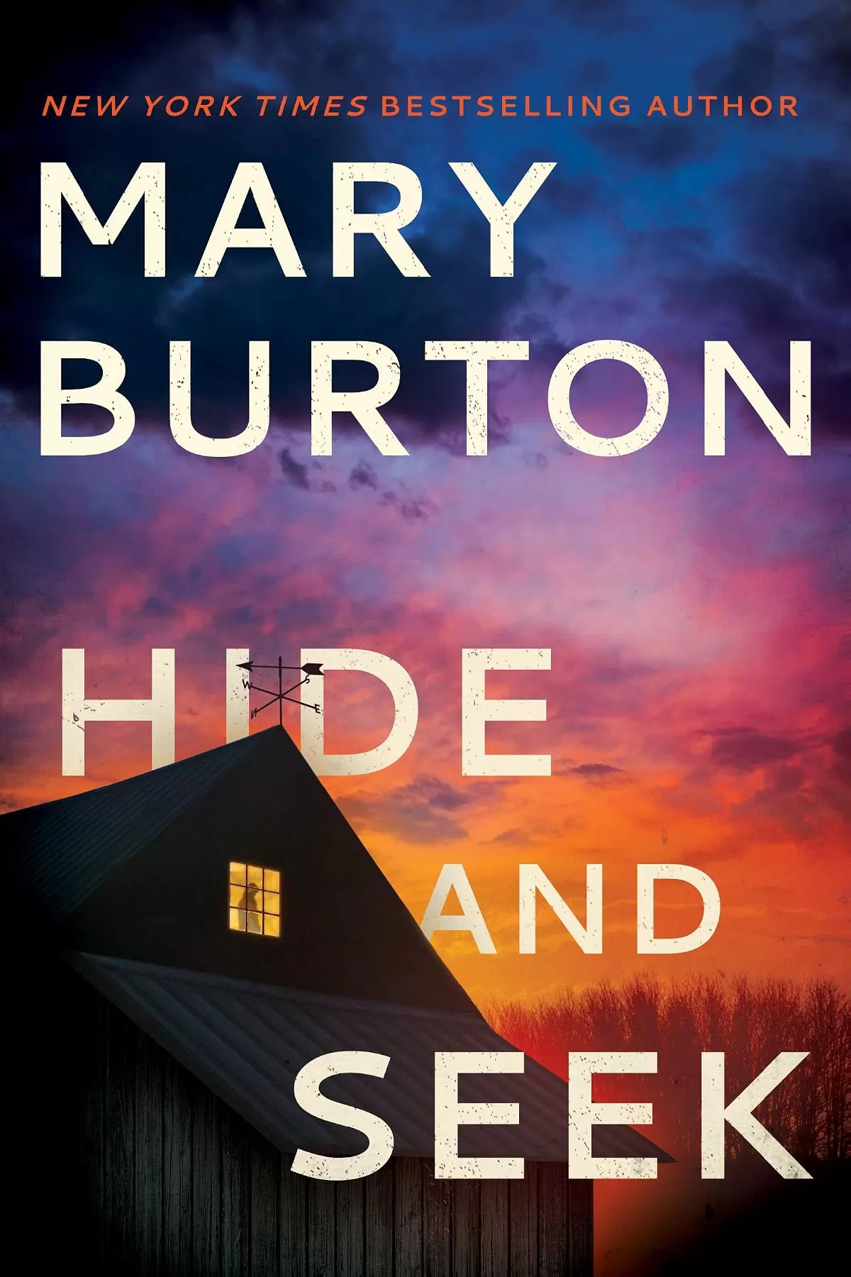 Hide and Seek (Criminal Profiler #4) by Mary Burton