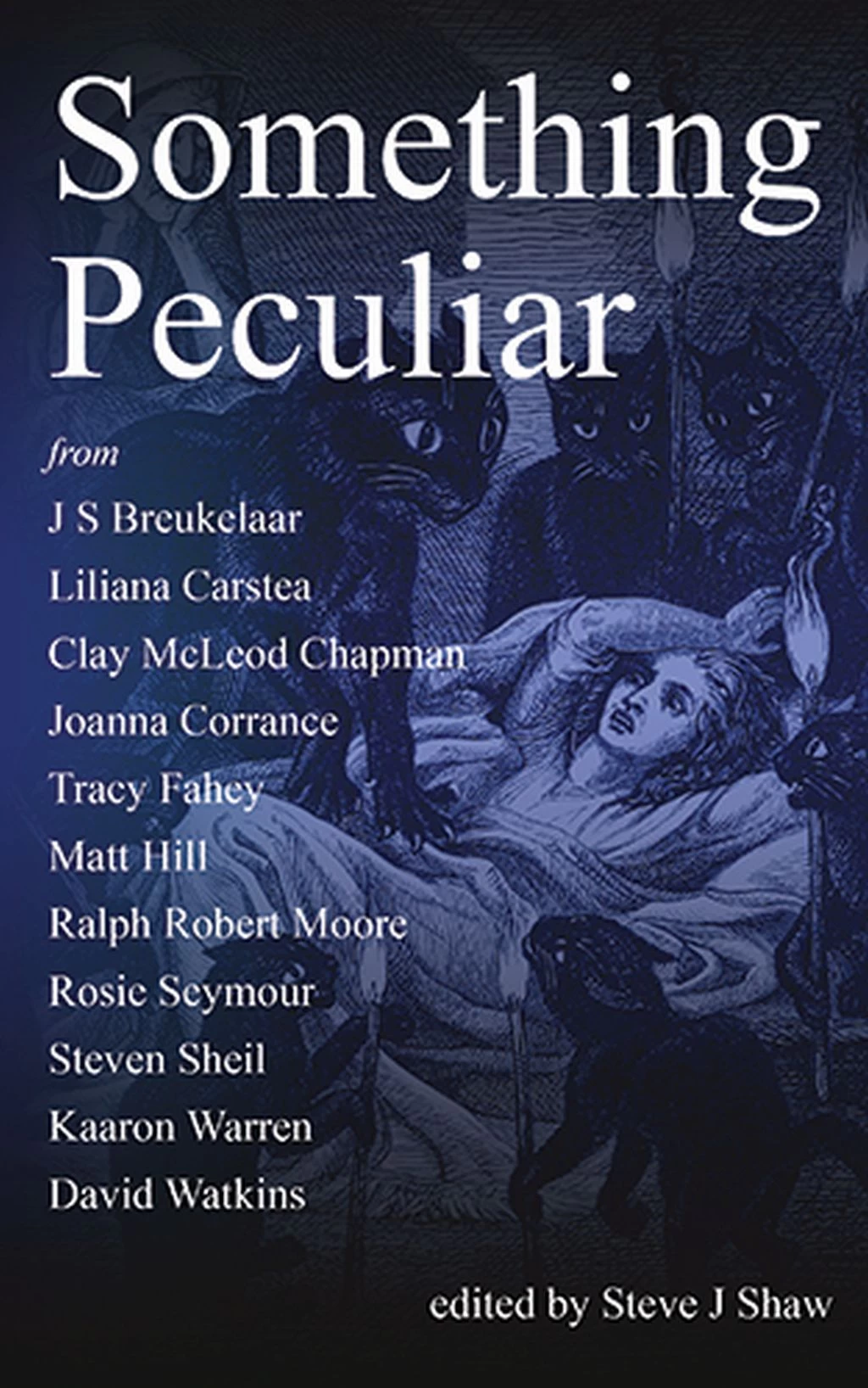 Something Peculiar (Something Peculiar #11) by Steve J Shaw
