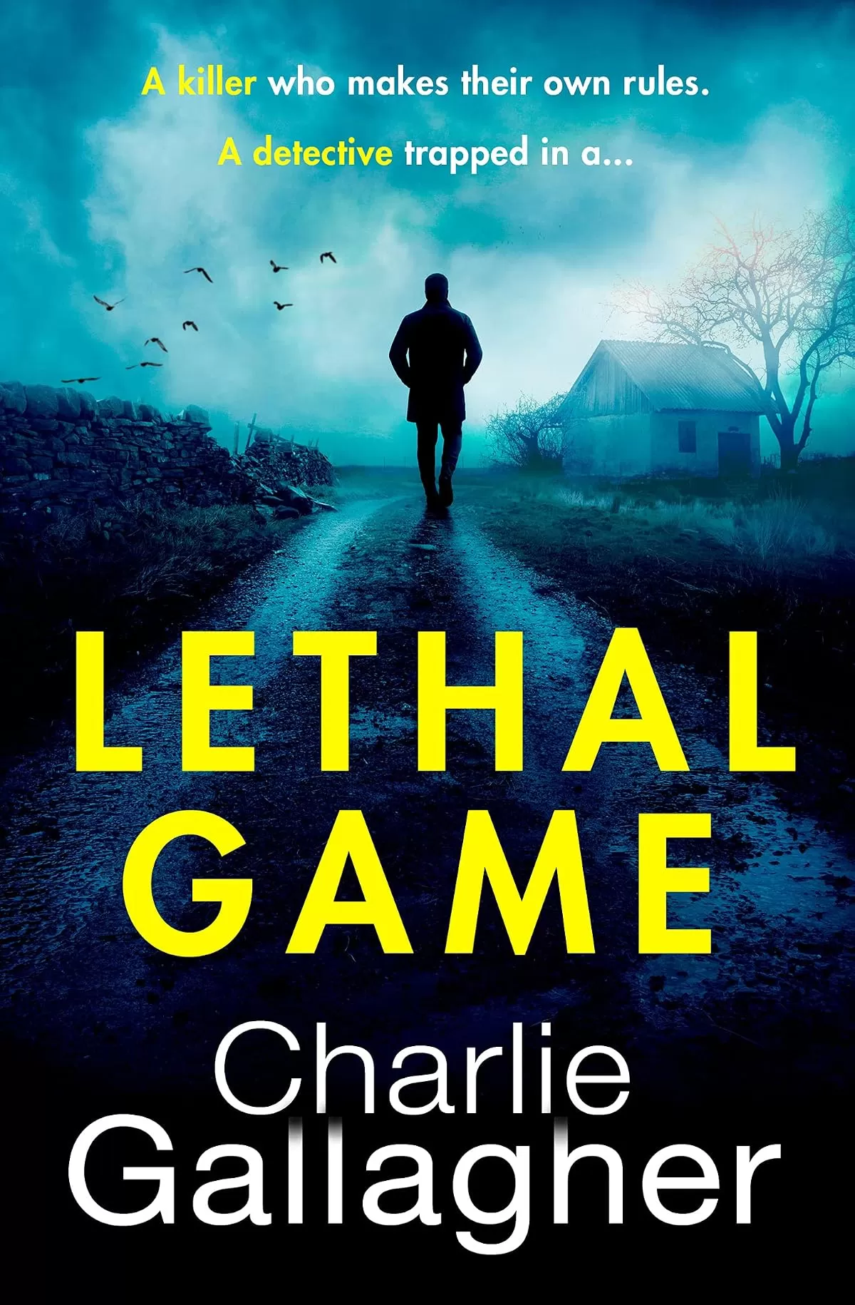 Lethal Game (DI Joel Norris #2) by Charlie Gallagher