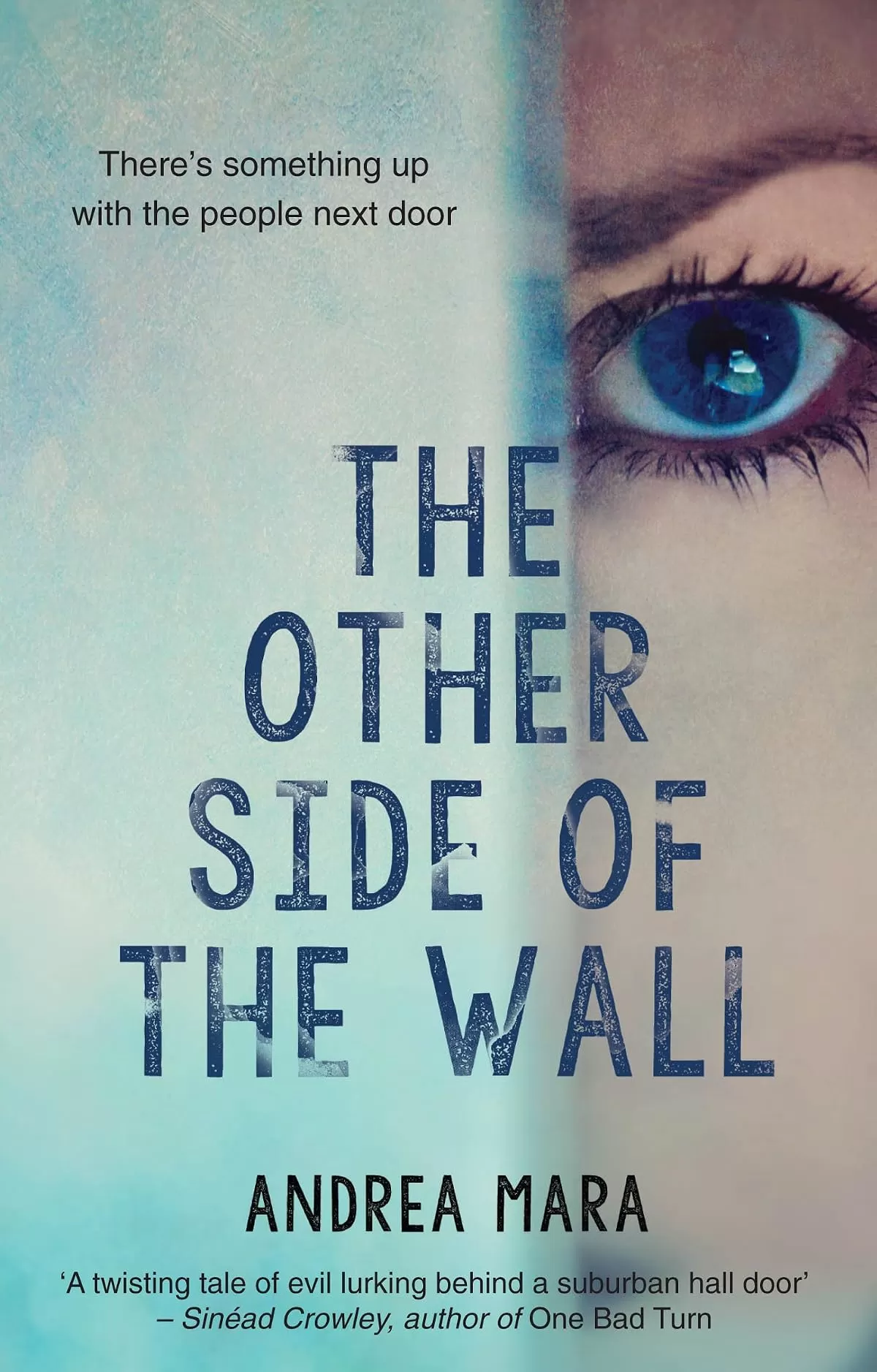 The Other Side Of The Wall by Andrea Mara