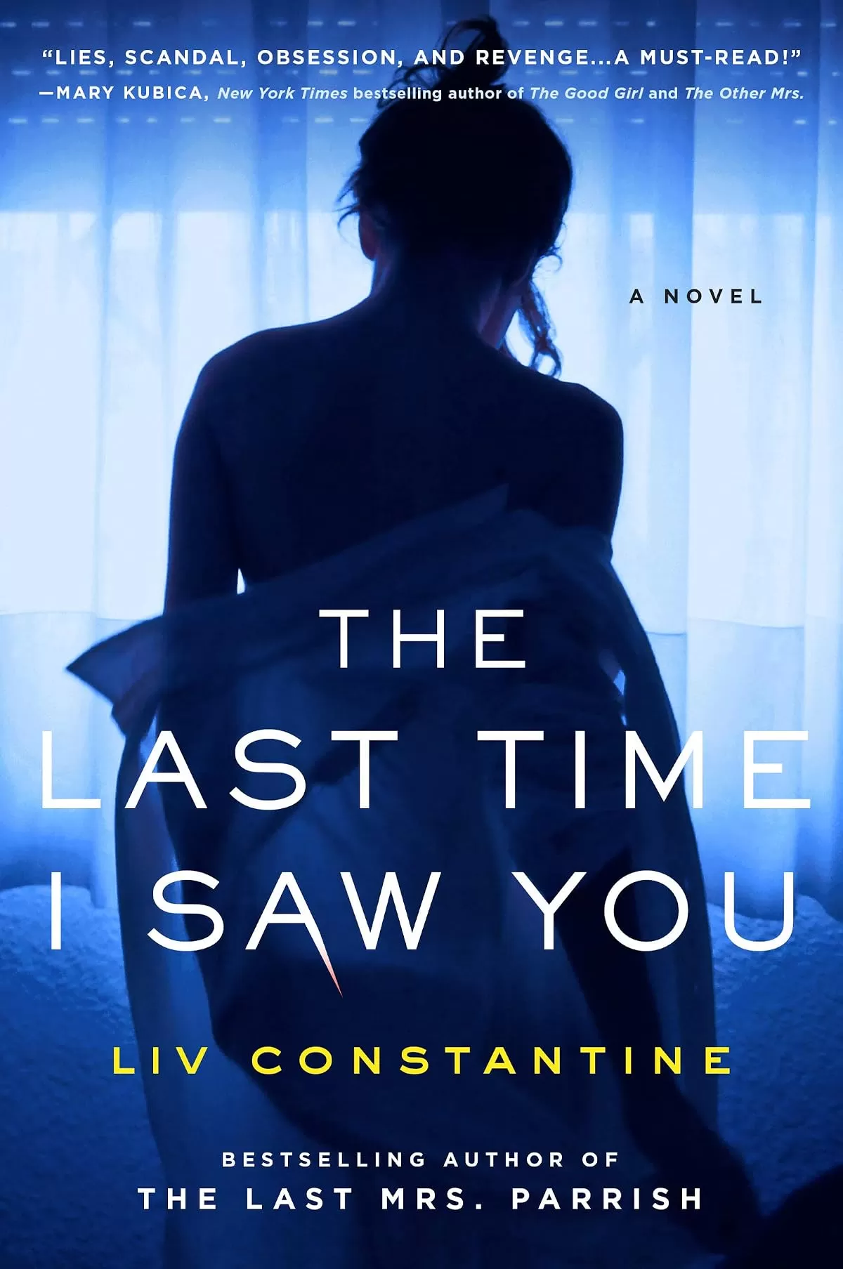 The Last Time I Saw You by Liv Constantine