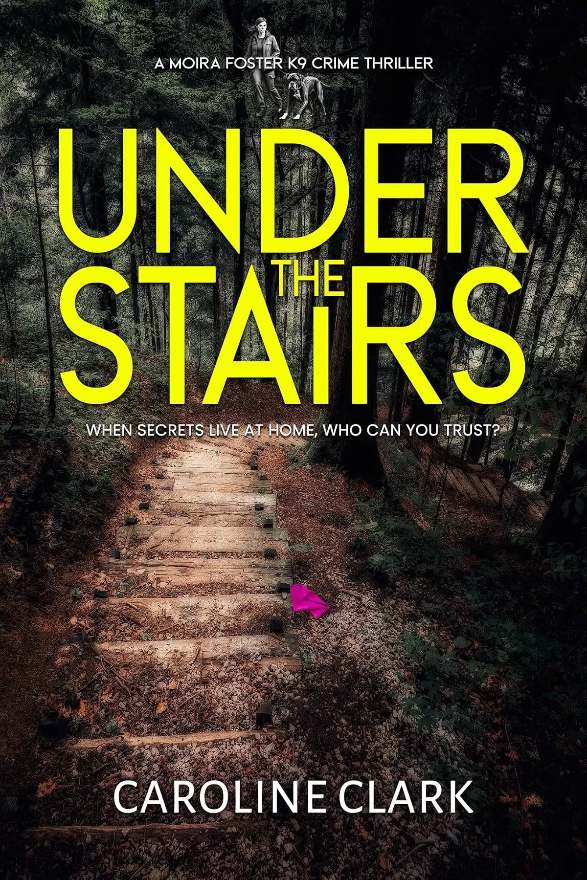 Under the Stairs (A Moira Foster K9 Crime Thriller #2) by Caroline Clark
