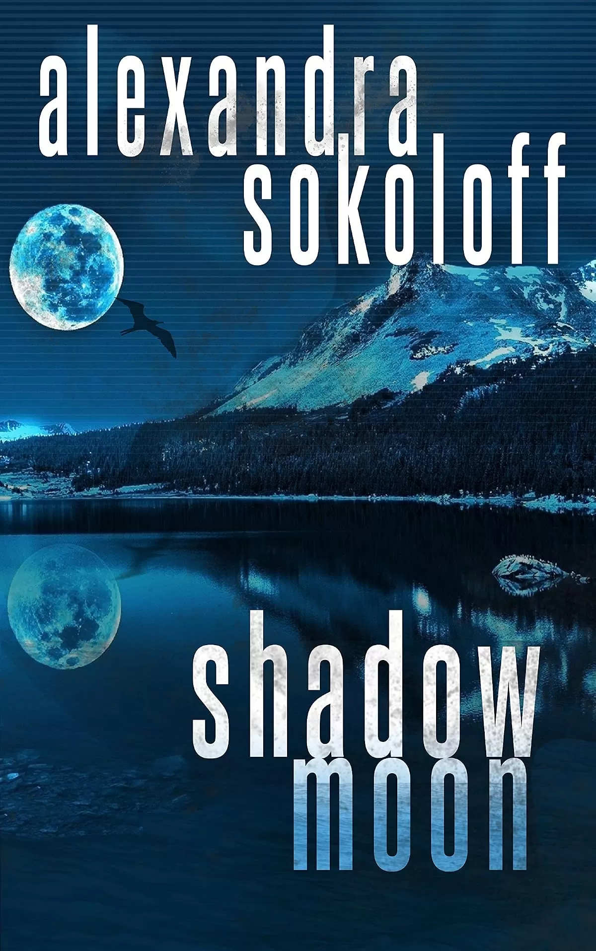 Shadow Moon (The Huntress/FBI Thrillers #6) by Alexandra Sokoloff