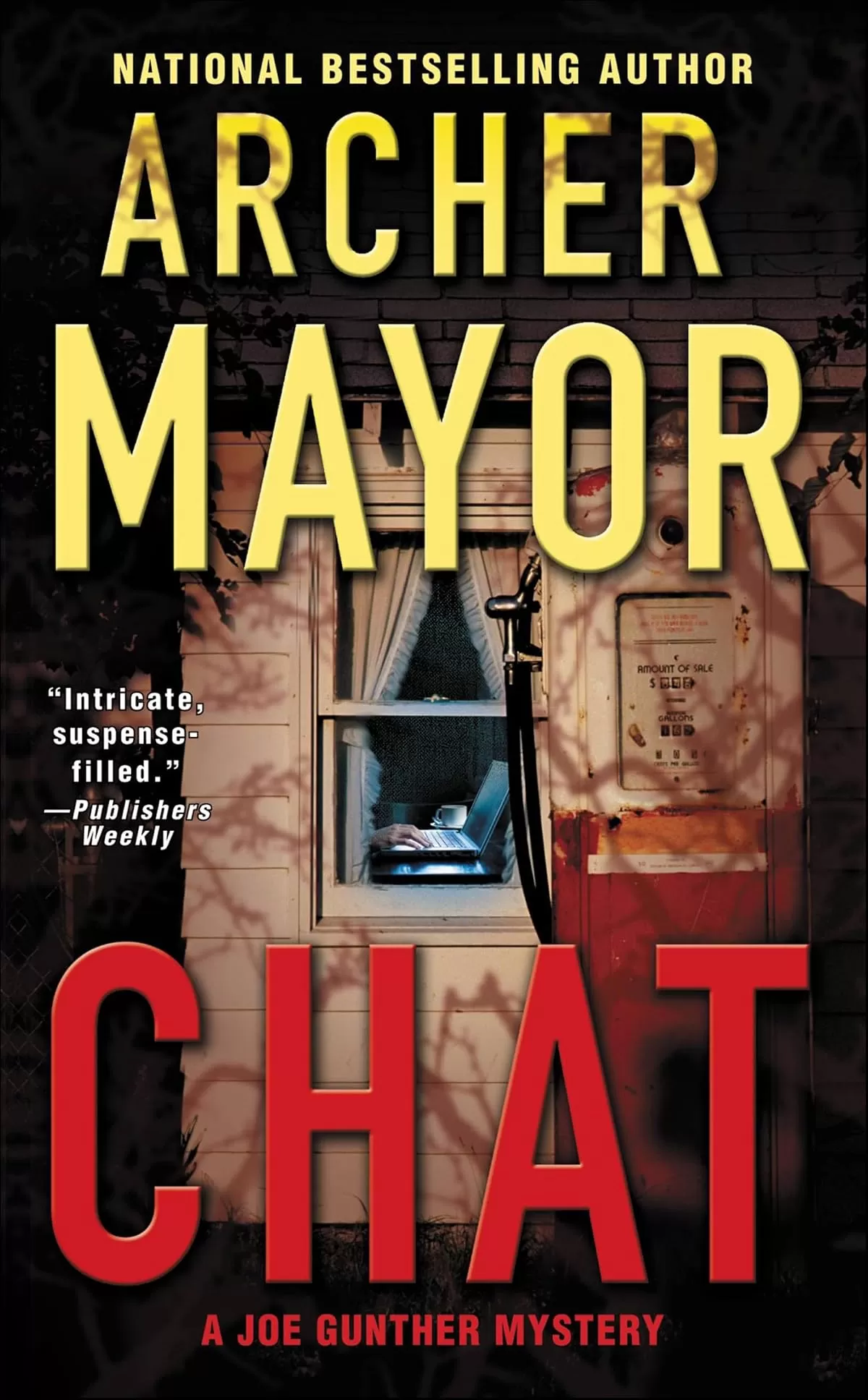 Chat (Joe Gunther Mysteries #18) by Archer Mayor