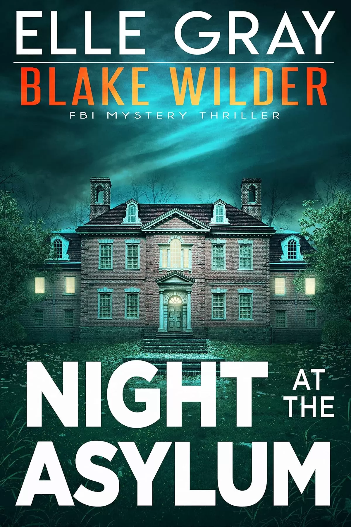 Night at the Asylum (Blake Wilder FBI Mystery Thriller #9) by Elle Gray