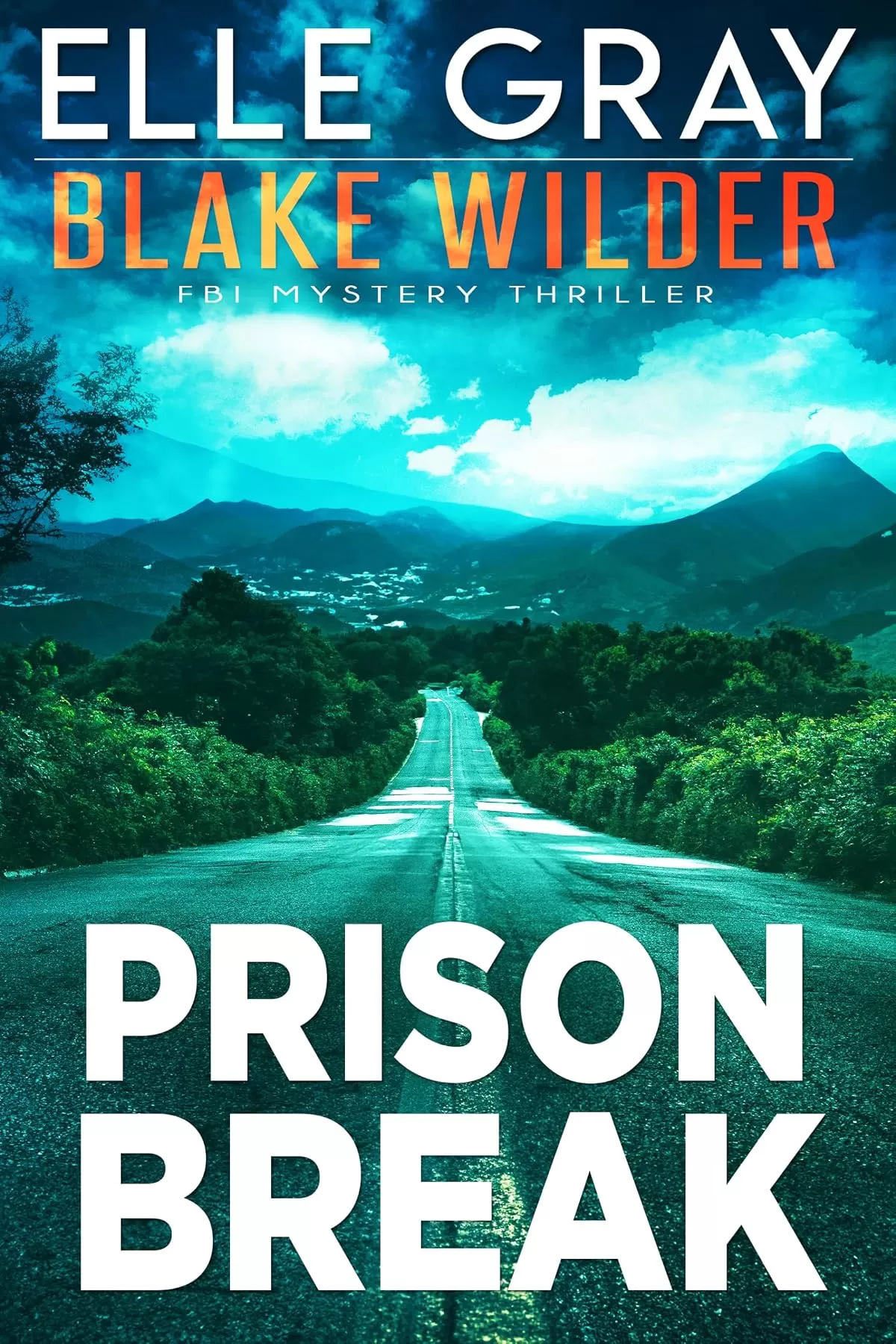 Prison Break (Blake Wilder FBI Mystery Thriller #24) by Elle Gray