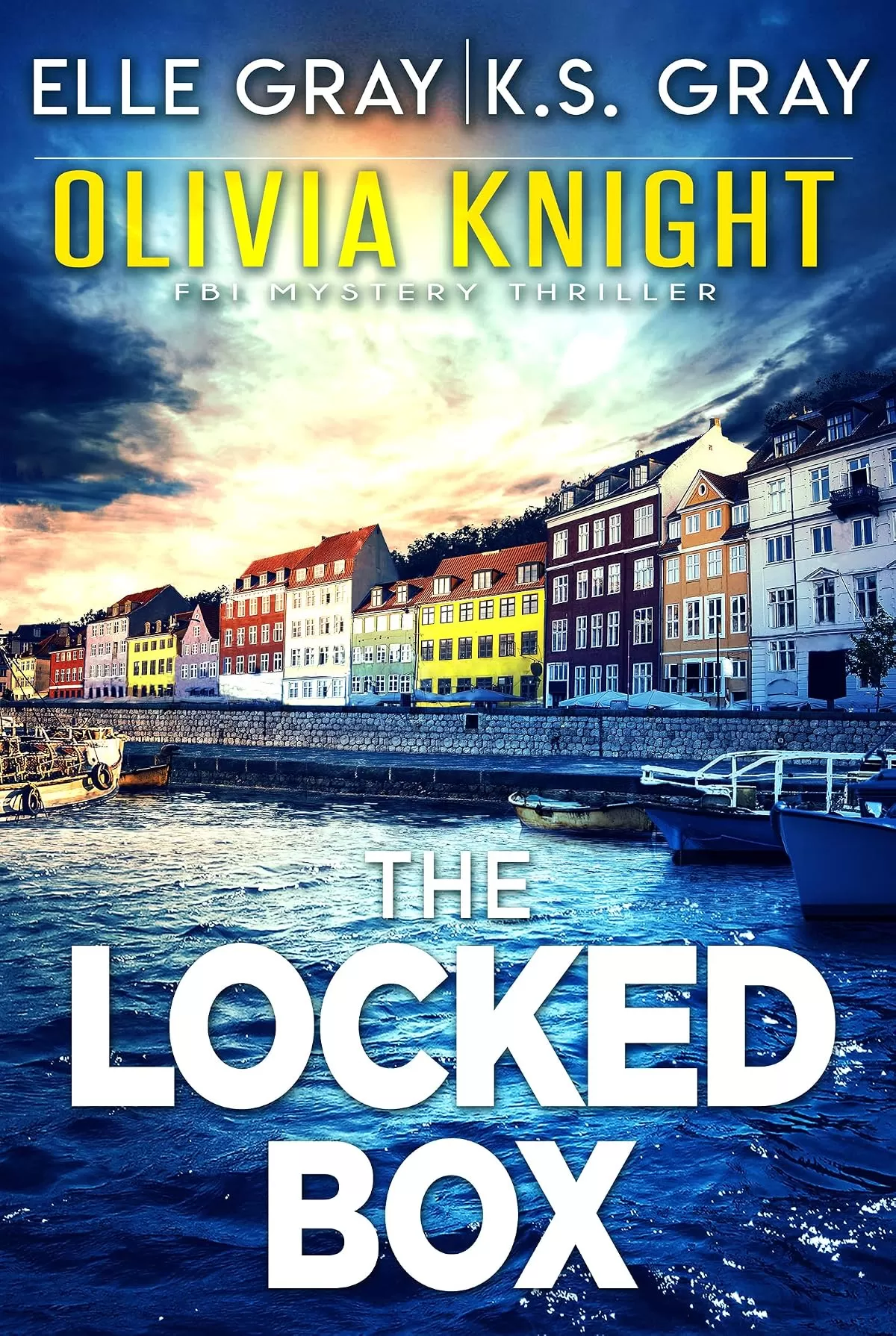 The Locked Box (Olivia Knight FBI Mystery Thriller #6) by Elle Gray, K.S. Gray