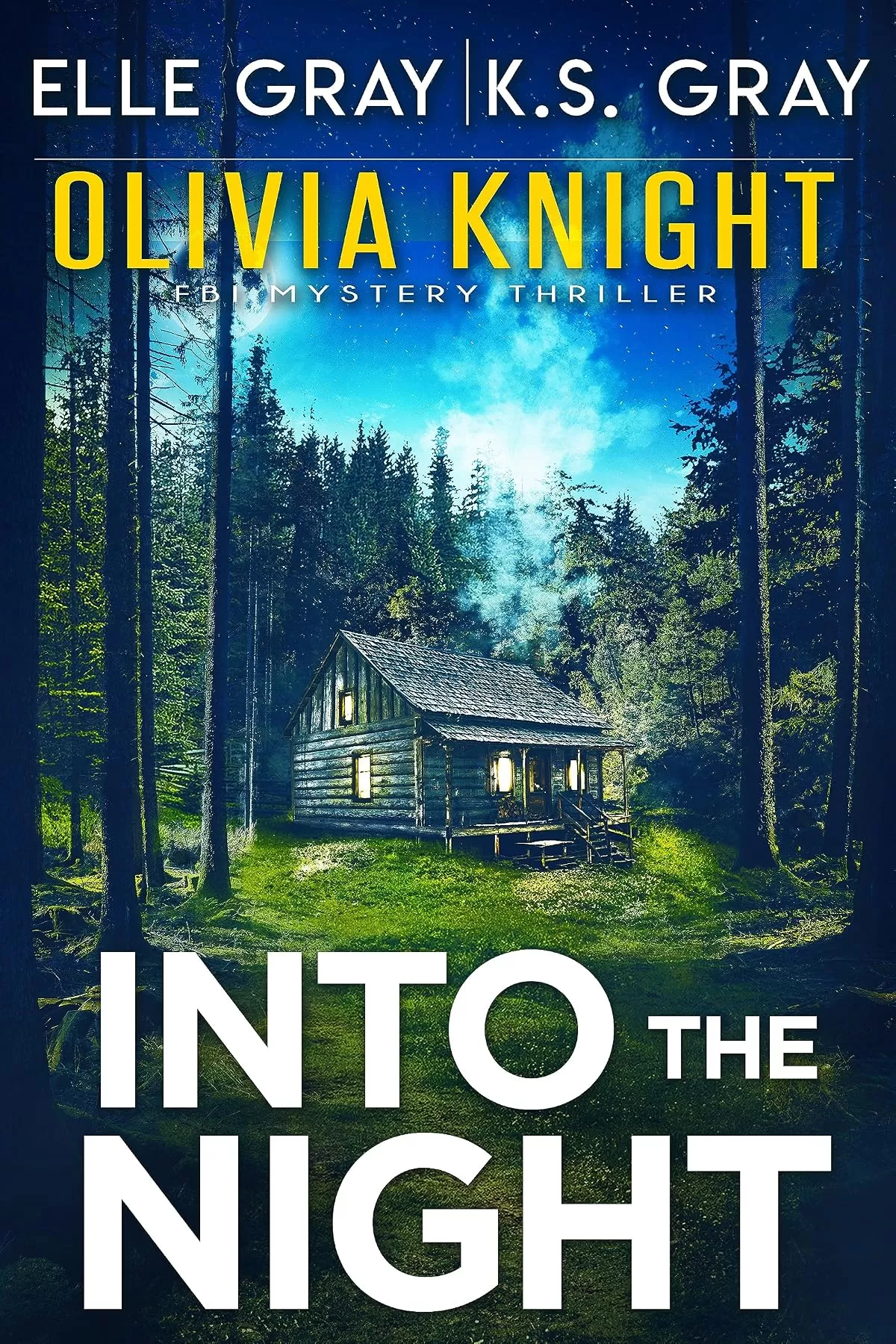 Into the Night (Olivia Knight FBI Mystery Thriller #11) by Elle Gray, K.S. Gray