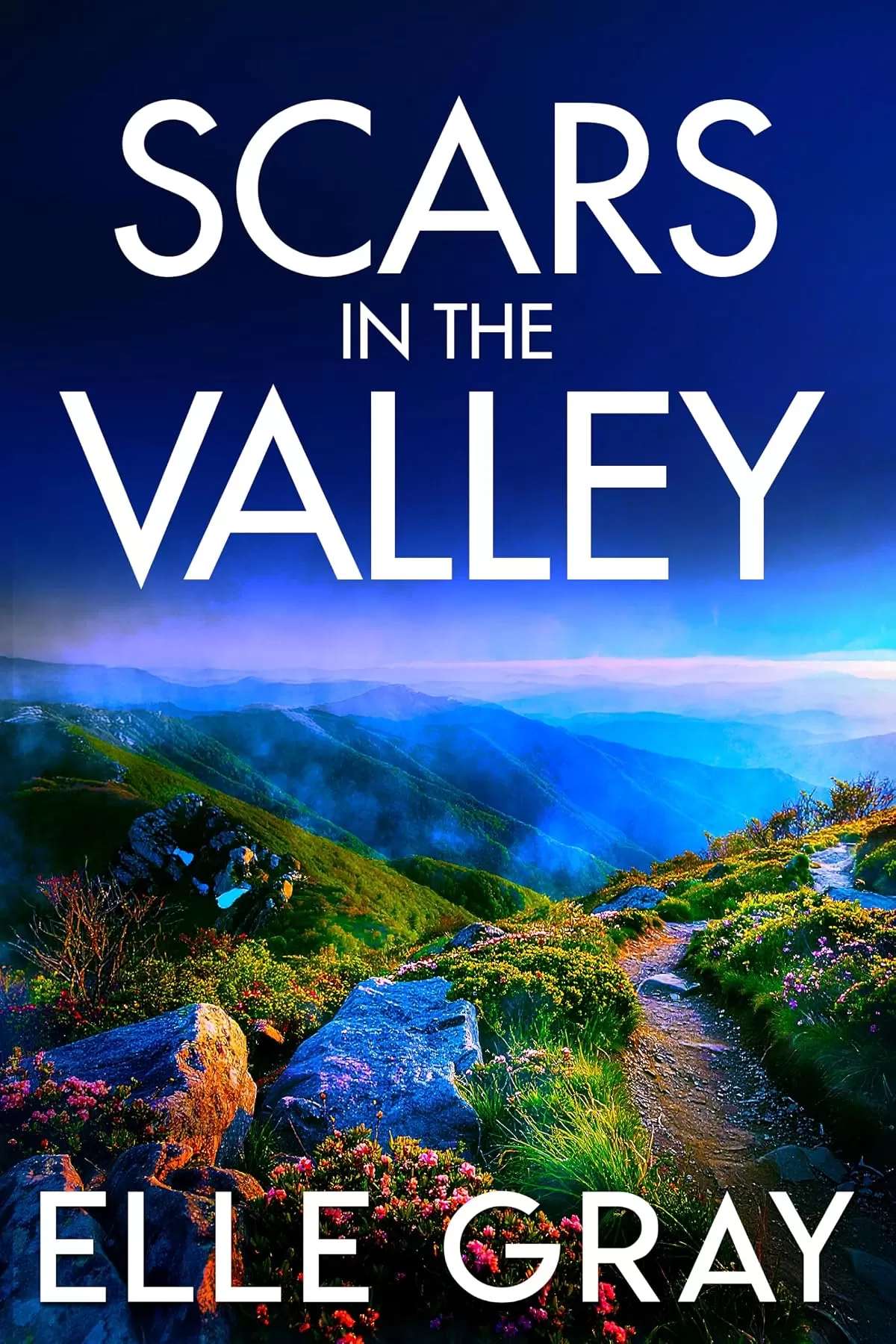 Scars in the Valley (A Sapphire Valley Mystery #2) by Elle Gray