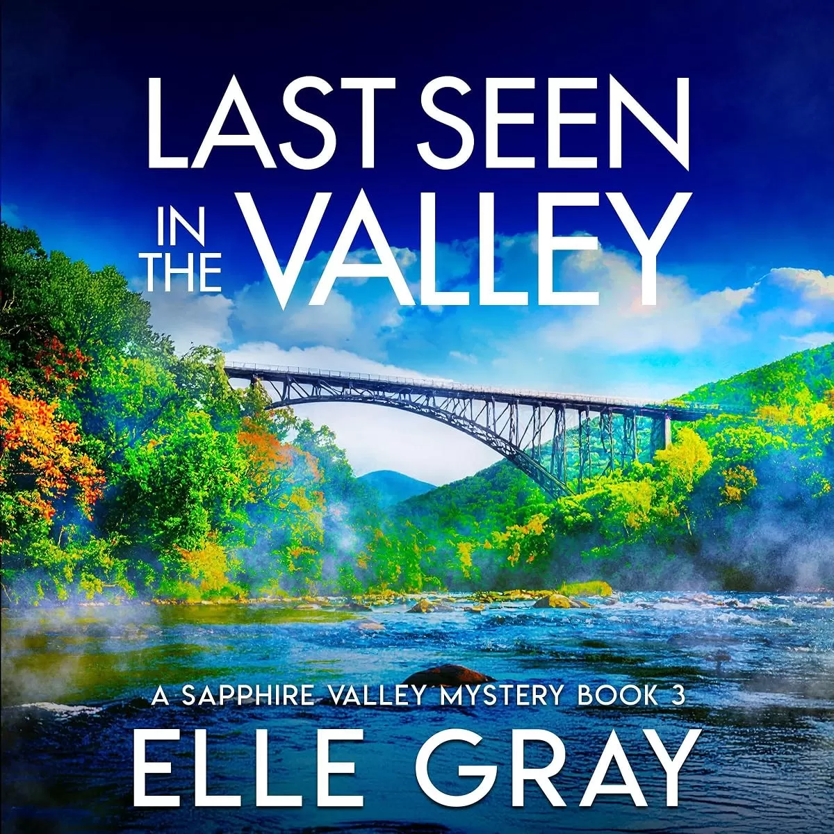 Last Seen in the Valley (A Sapphire Valley Mystery #3) by Elle Gray