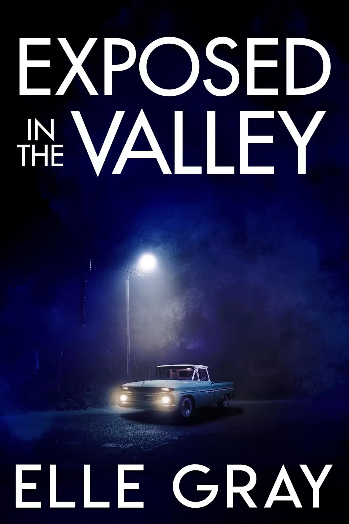 Exposed in the Valley (A Sapphire Valley Mystery #7) by Elle Gray