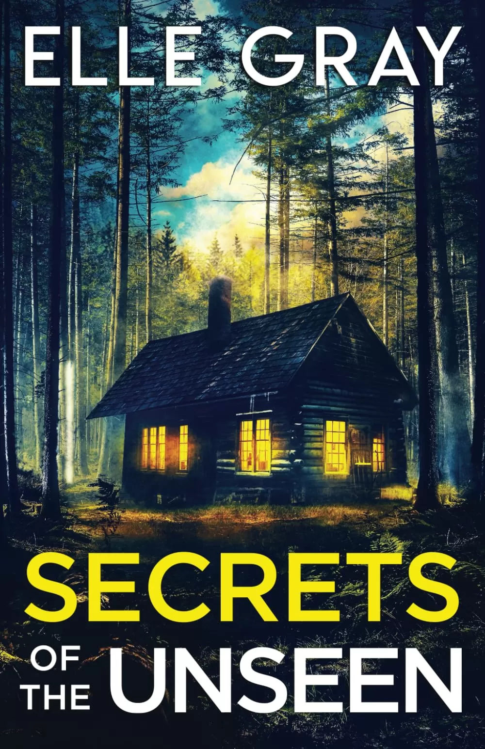 Secrets of the Unseen (Storyville FBI Mystery Thriller #4) by Elle Gray