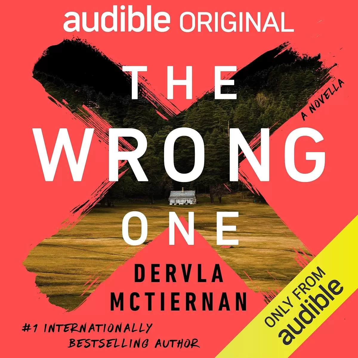 The Wrong One by Dervla McTiernan