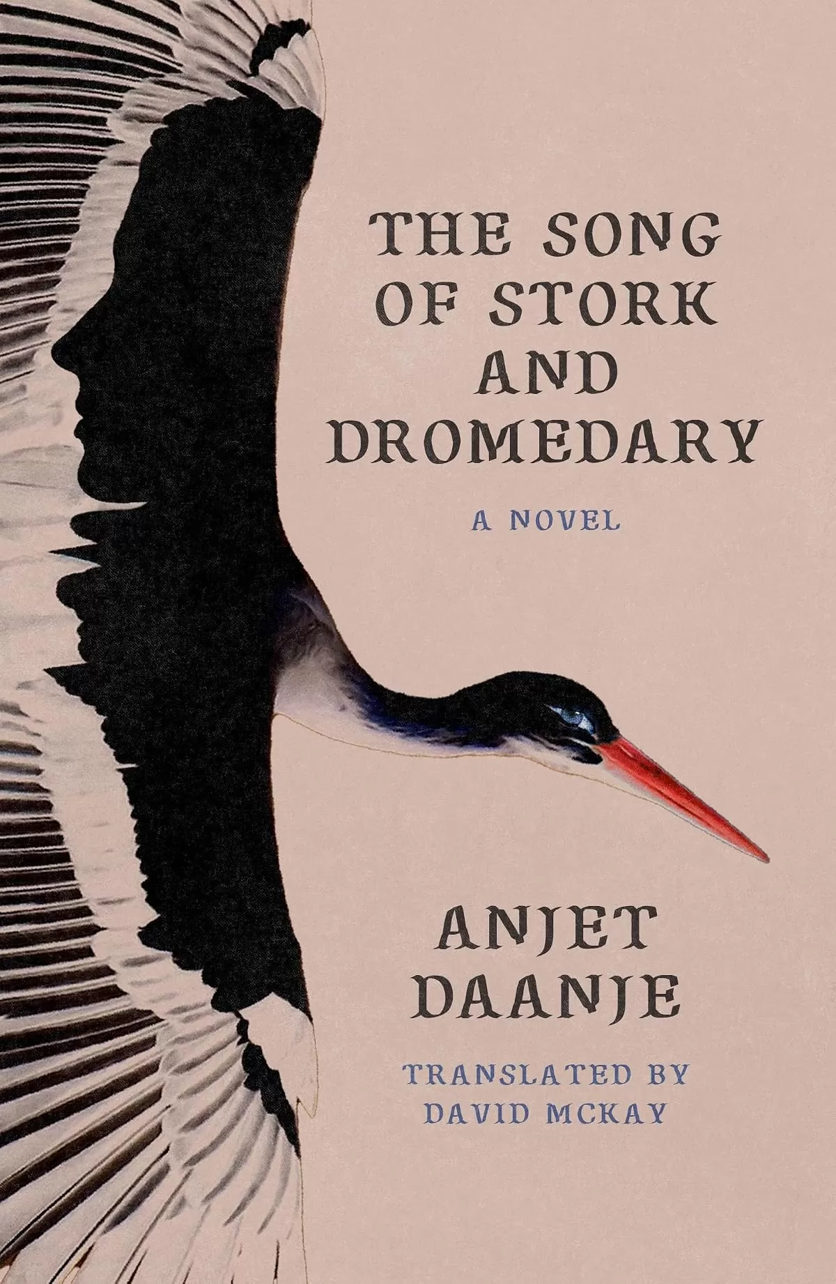 The Song of Stork and Dromedary by Anjet Daanje