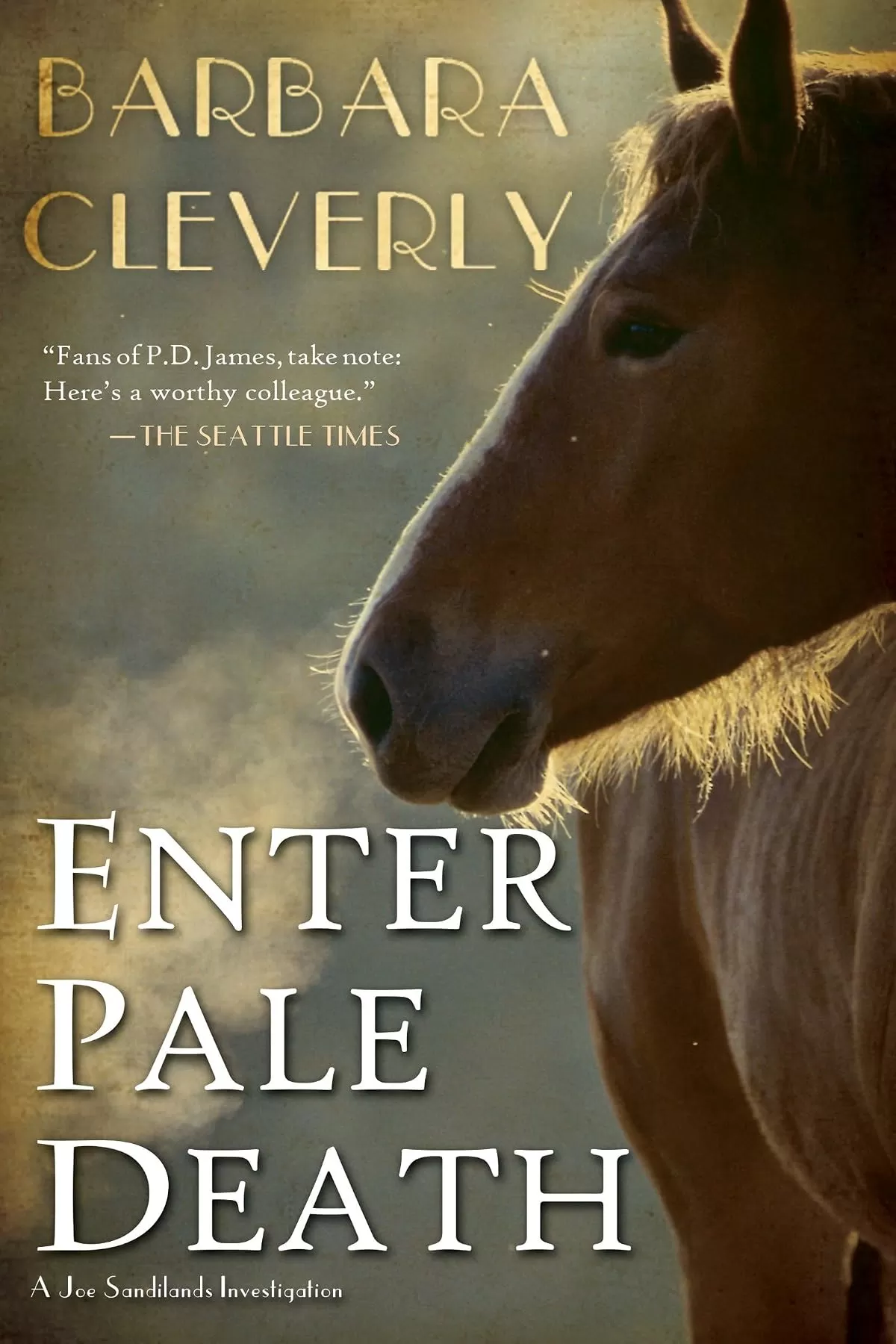 Enter Pale Death (Joe Sandilands #12) by Barbara Cleverly