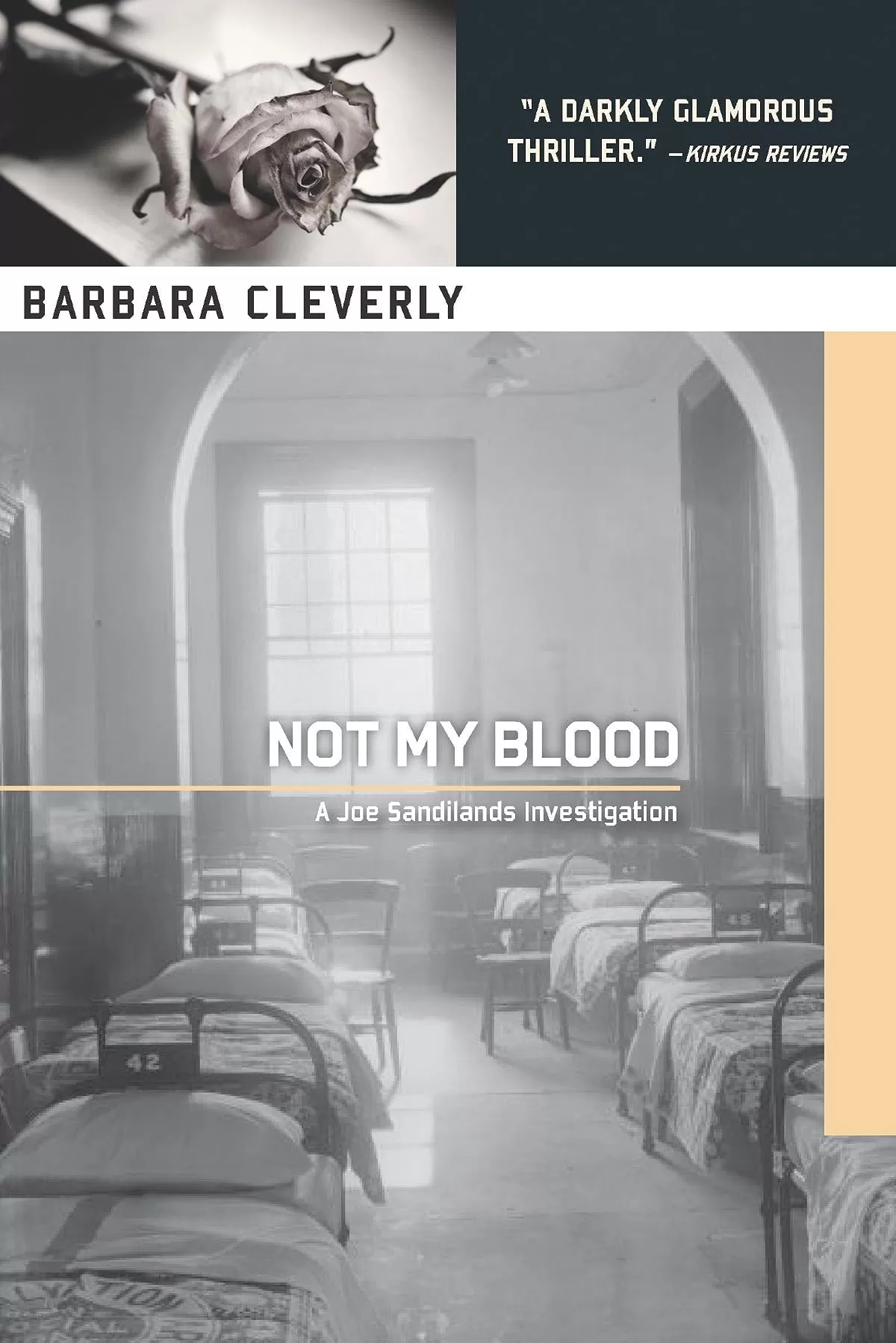 Not My Blood (Joe Sandilands #10) by Barbara Cleverly