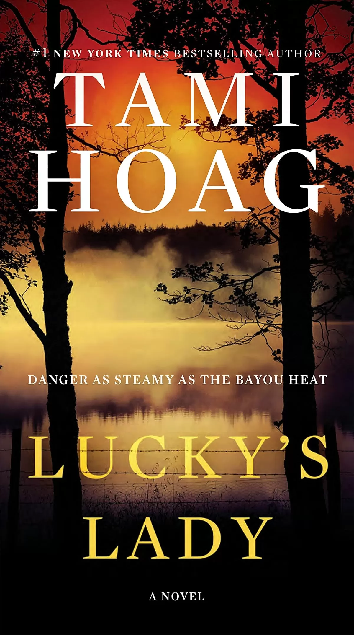 Lucky's Lady (Doucet #2) by Tami Hoag