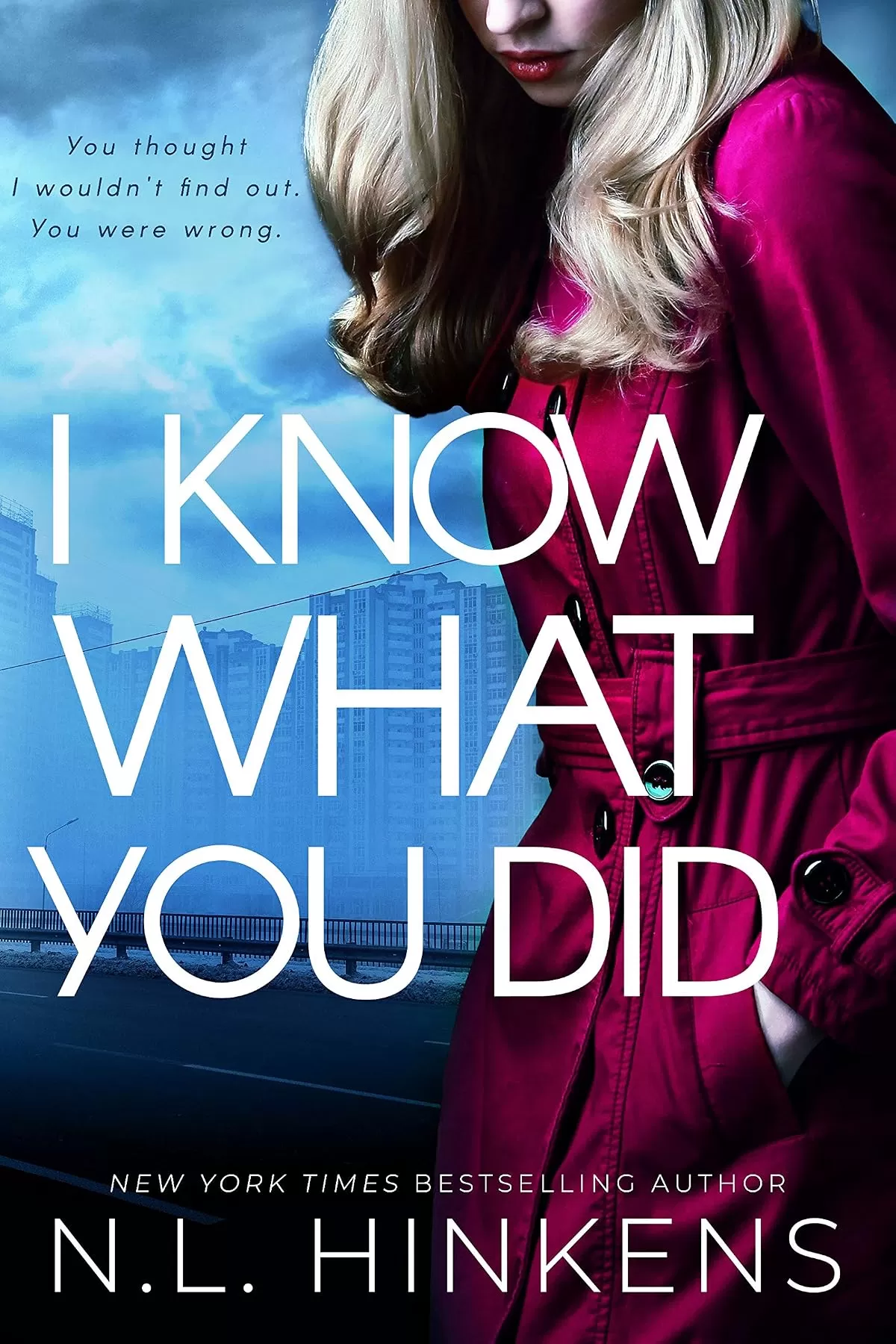 I Know What You Did (Domestic Deceptions #1) by N.L. Hinkens