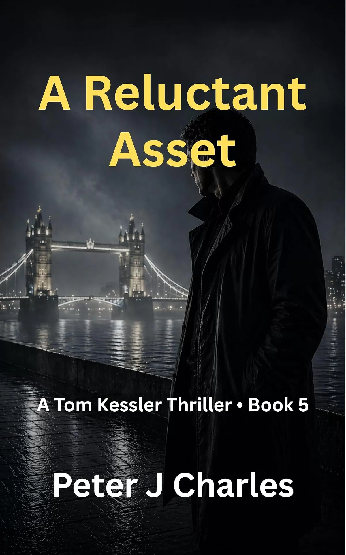 A Reluctant Asset (The Tom Kessler Thrillers #5) by Peter J Charles