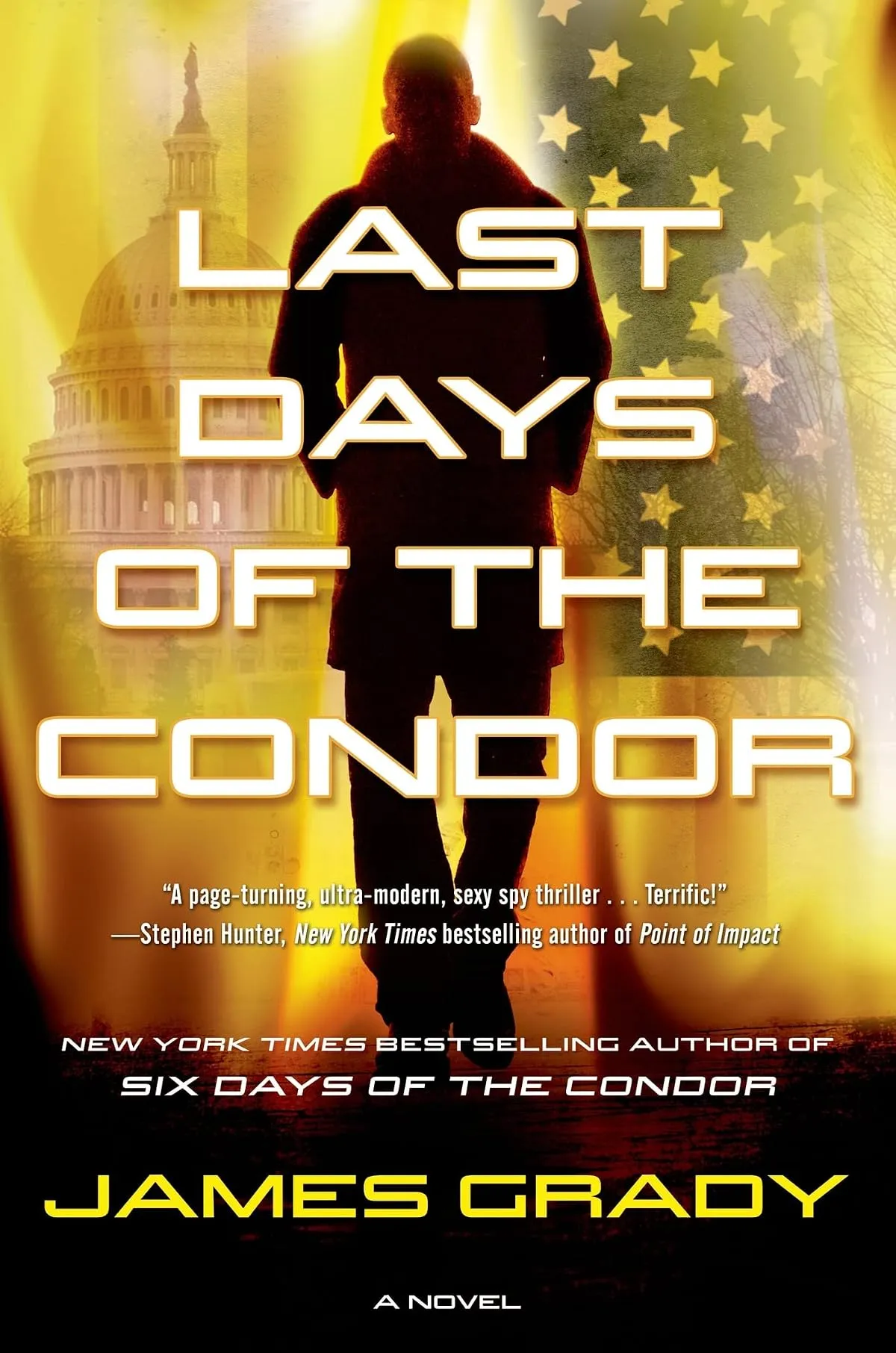 Last Days of the Condor (Condor #3) by James Grady