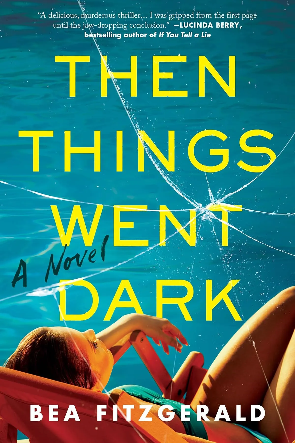 Then Things Went Dark by Bea Fitzgerald