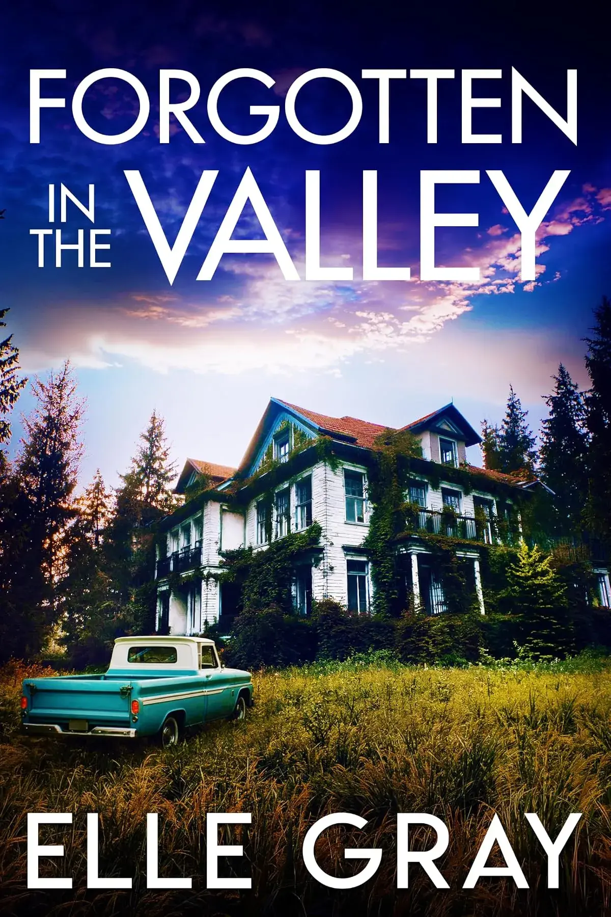 Forgotten in the Valley (A Sapphire Valley Mystery #9) by Elle Gray