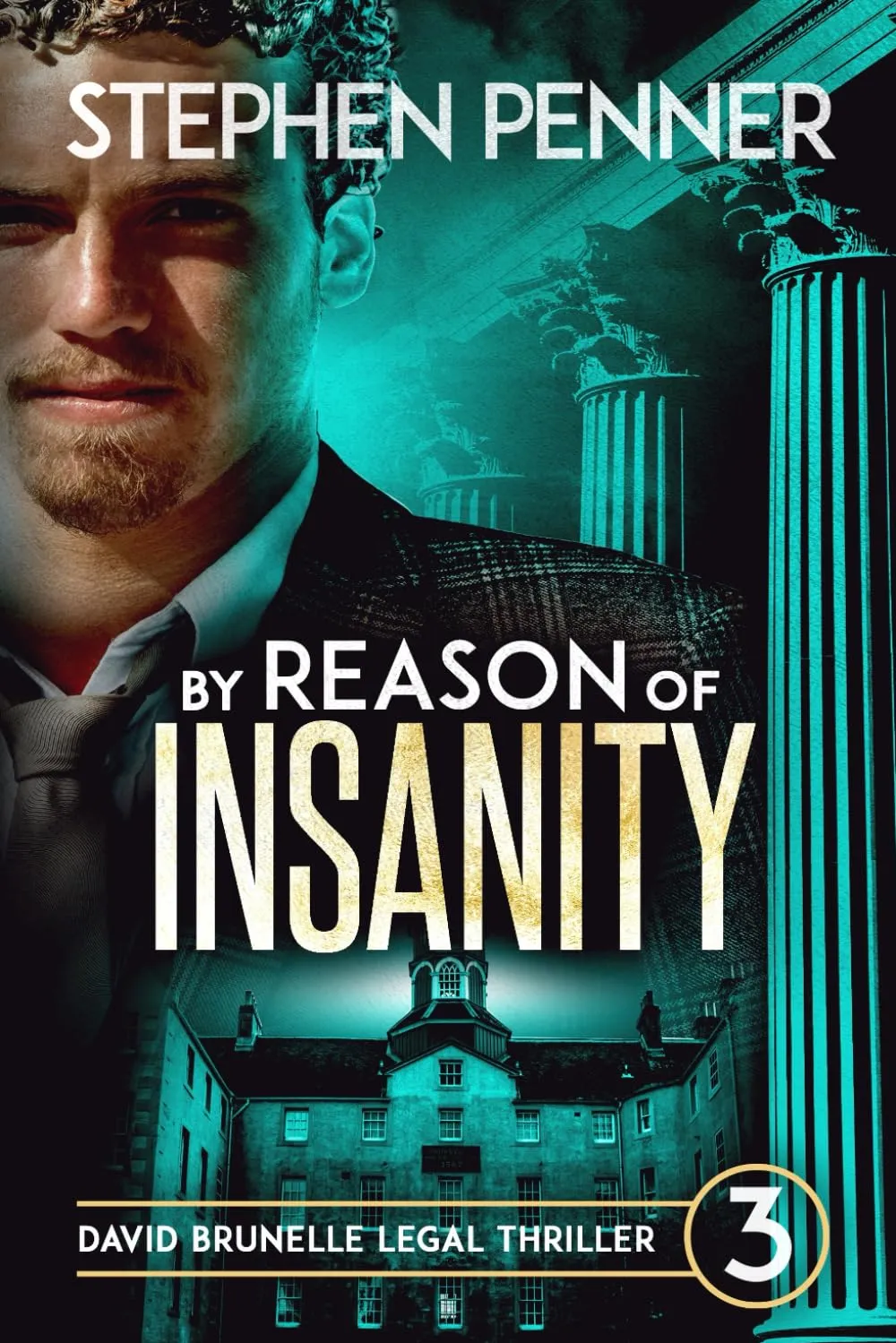 By Reason of Insanity (David Brunelle Legal Thriller Series #3) by Stephen Penner