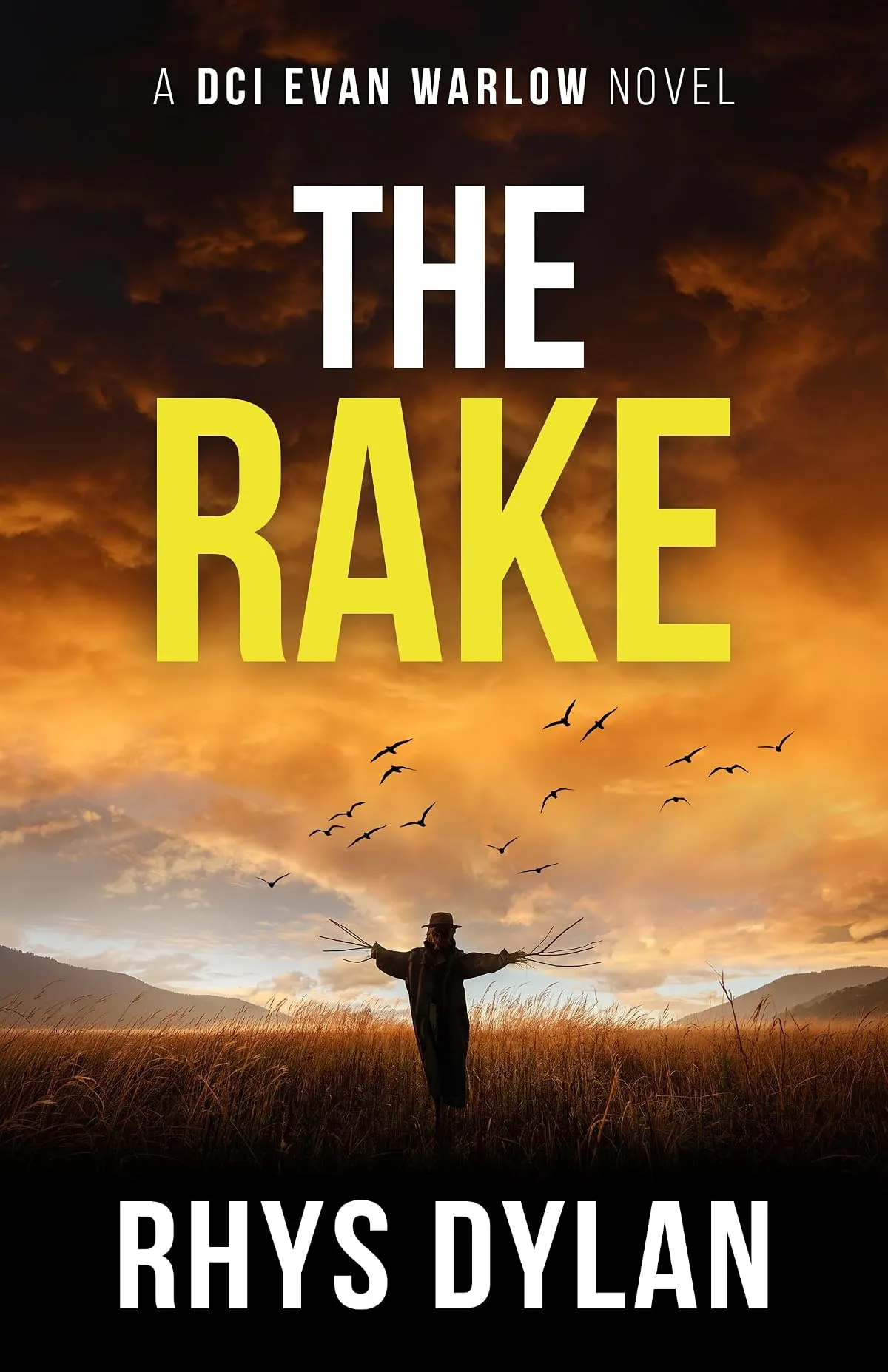 The Rake (DCI Evan Warlow Crime Thriller #22) by Rhys Dylan