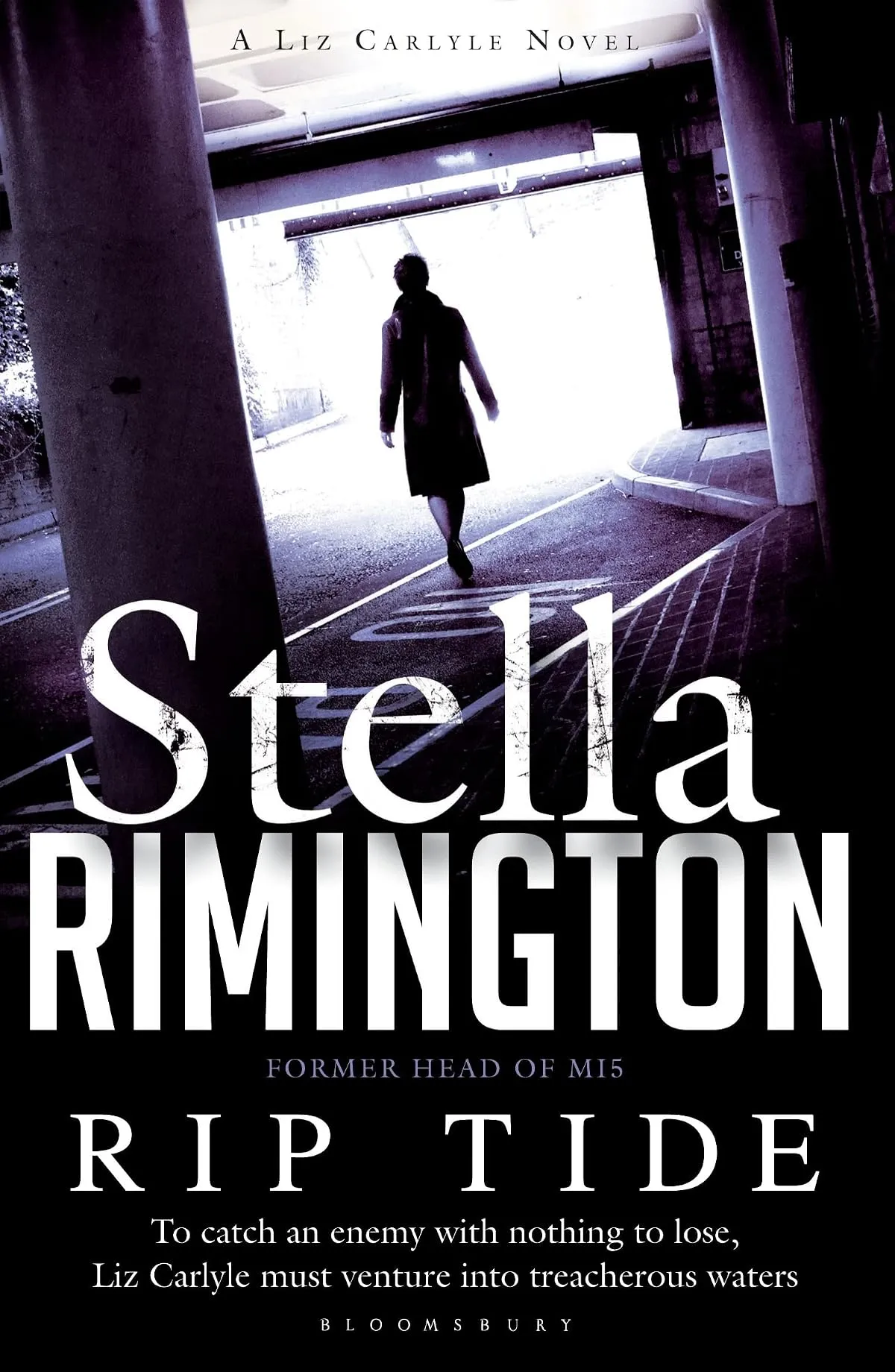 Rip Tide (Liz Carlyle Novels #6) by Stella Rimington