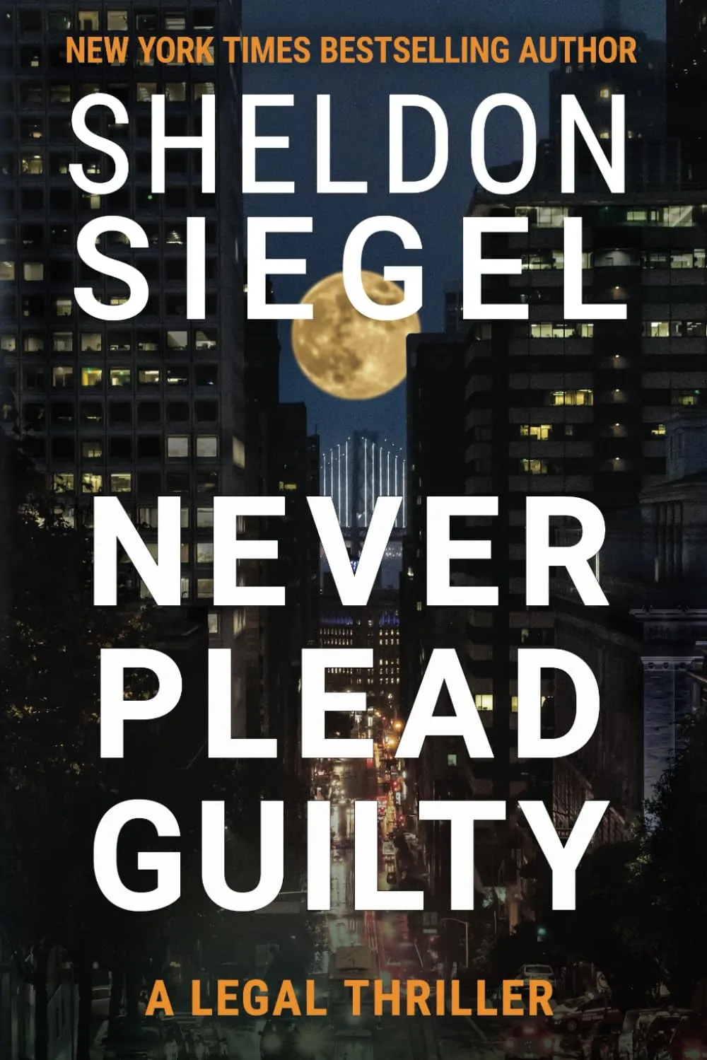 Never Plead Guilty (Mike Daley/Rosie Fernandez Legal Thriller #17) by Sheldon Siegel