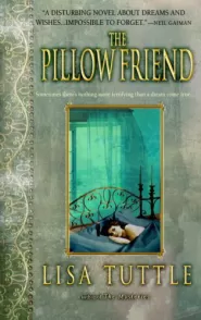 The Pillow Friend