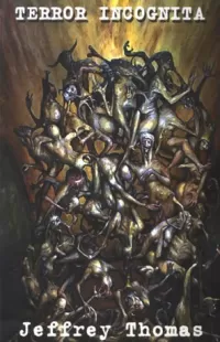 Terror Incognita