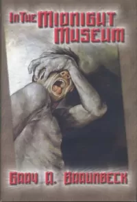 In the Midnight Museum