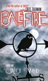 A Chalice of Wind (Balefire #1)
