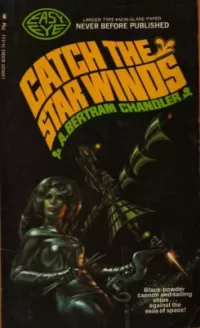 Catch the Star Winds (John Grimes #11)