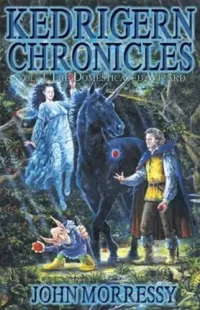 The Domesticated Wizard (The Kedrigern Chronicles #1)