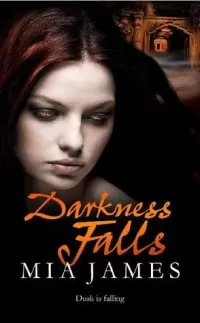 Darkness Falls (Ravenwood #2)