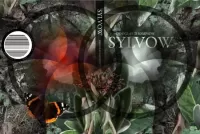 Sylvow
