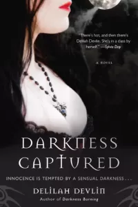 Darkness Captured (Dark Realm #4)
