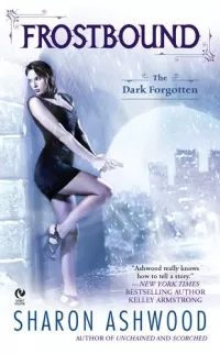 Frostbound (The Dark Forgotten #4)