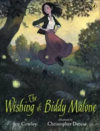 The Wishing of Biddy Malone