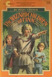 The Wizard Children of Finn (Finn #1)