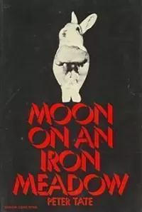 Moon on an Iron Meadow