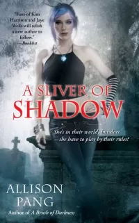 A Sliver of Shadow (Abby Sinclair #2)